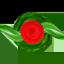 Bangladesh Women