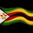 Zimbabwe Women Logo
