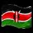 Kenya Women Logo